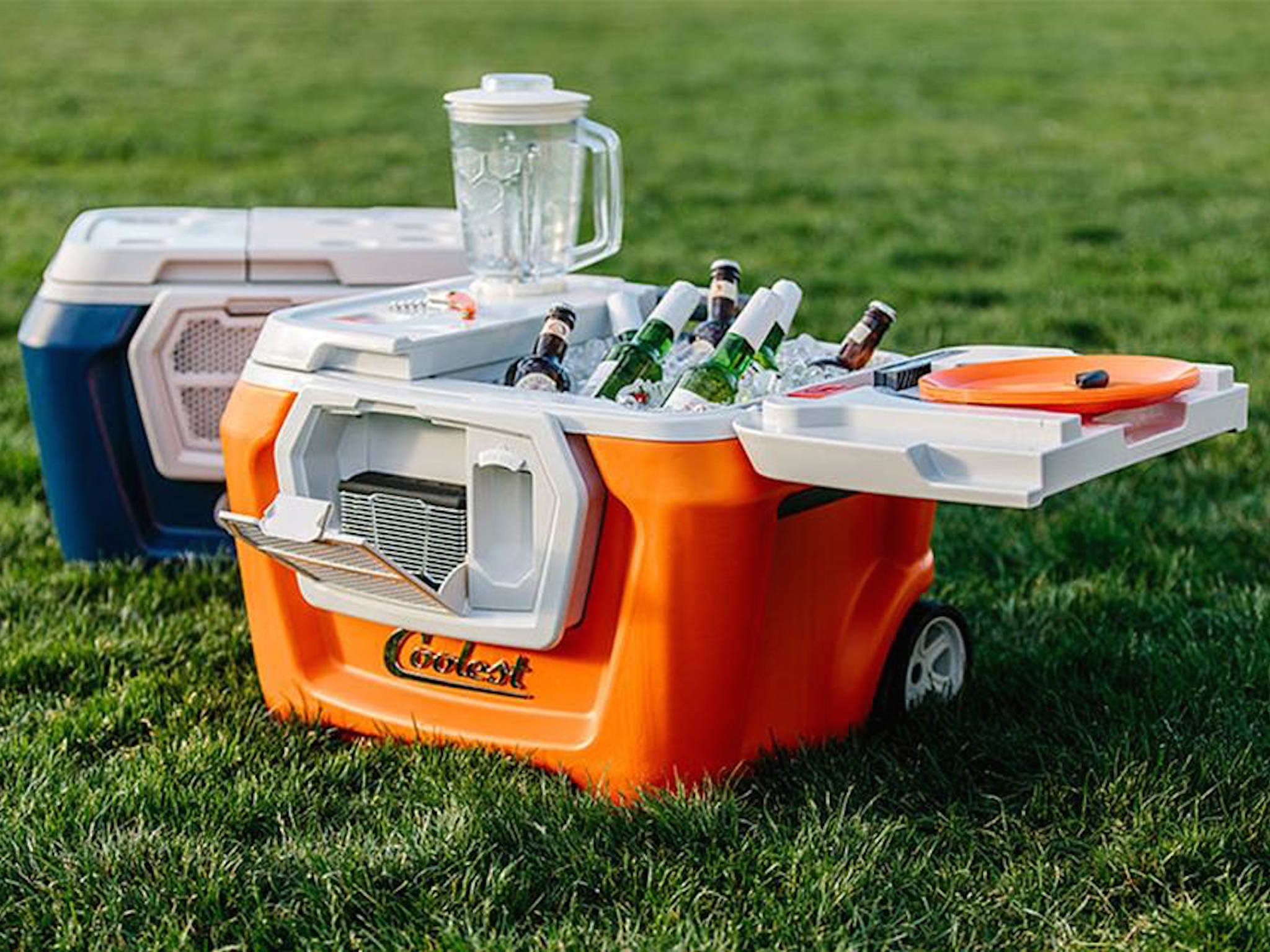 coolest cooler