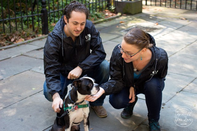 pooch-pals4-dwyl