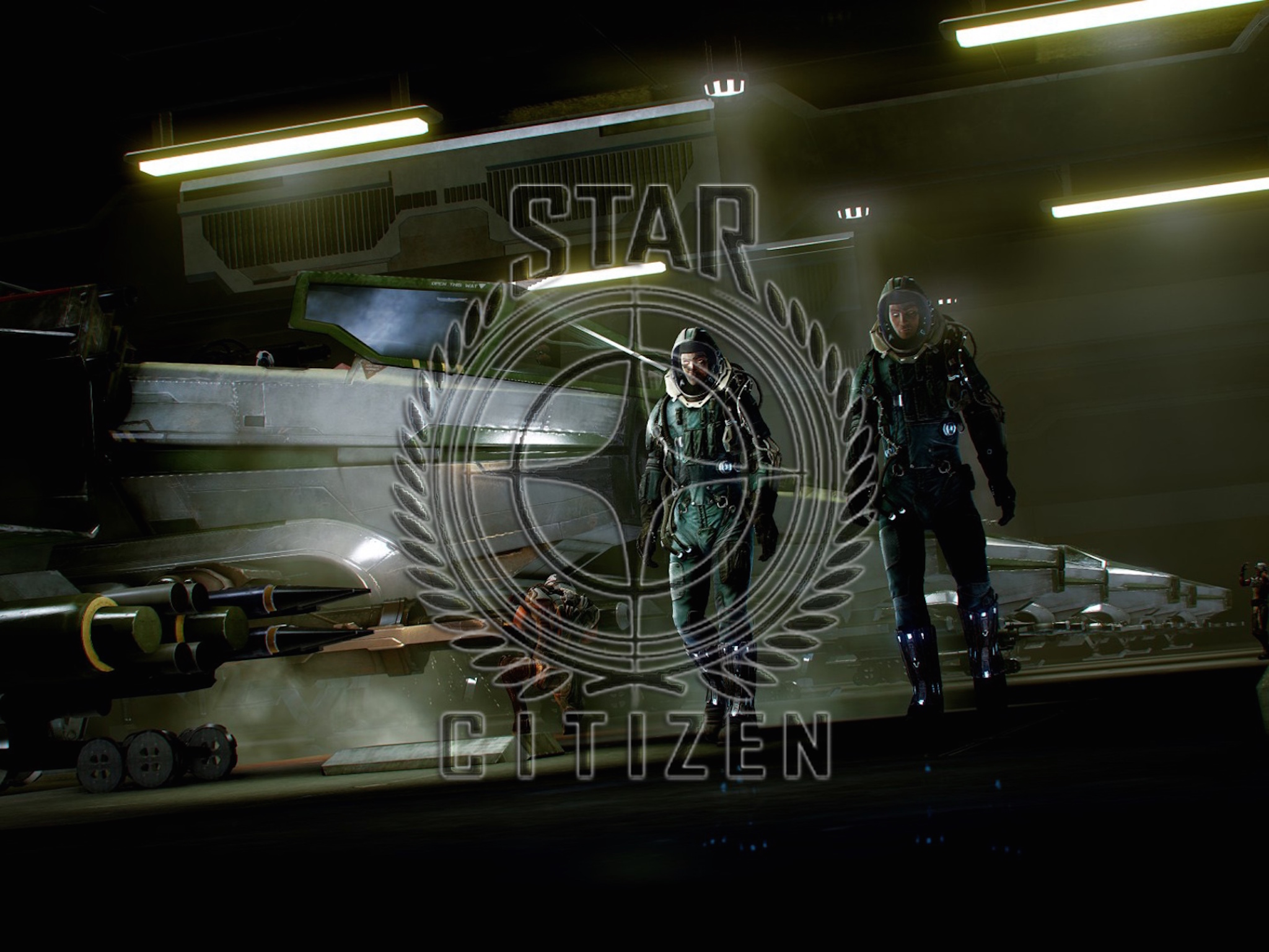 star citizen