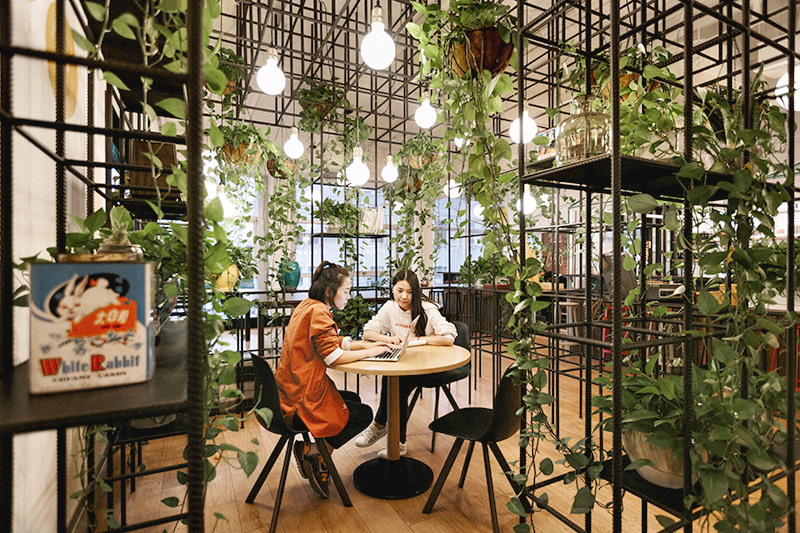 11 Vibrant Offices That Bring The Outdoors Inside Ideas