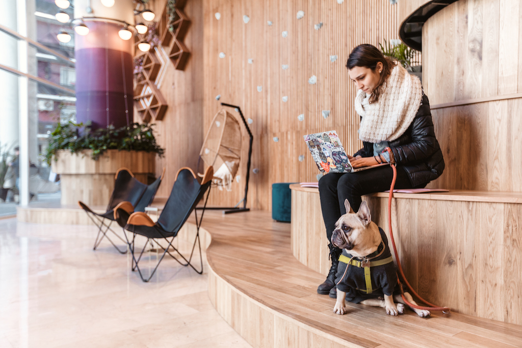 WeWork 1