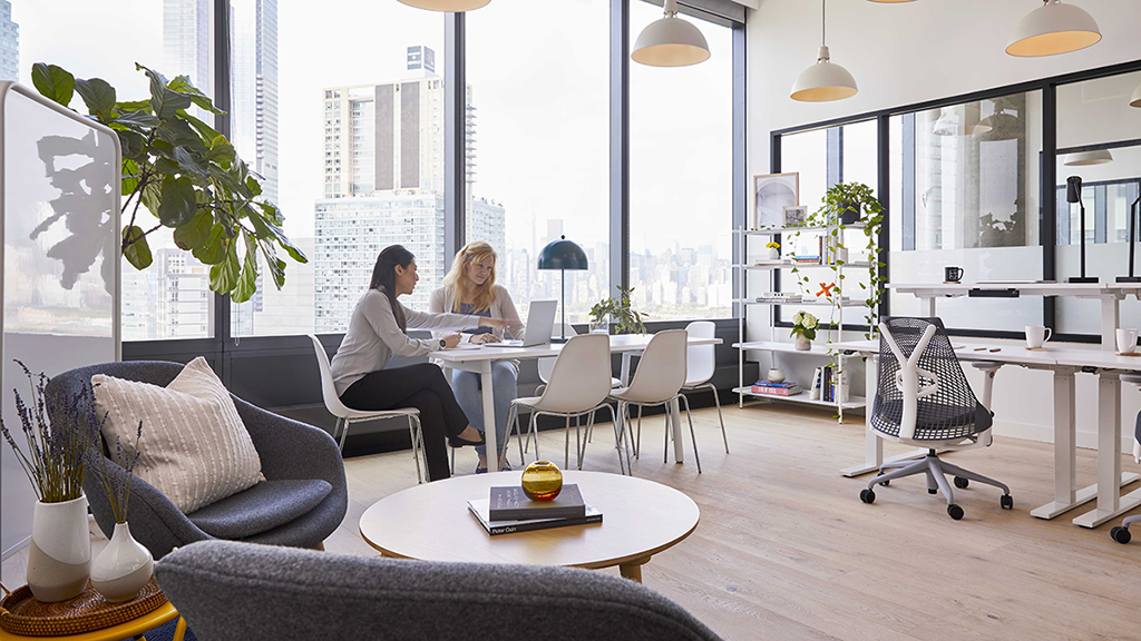 Wework office task outlet chair