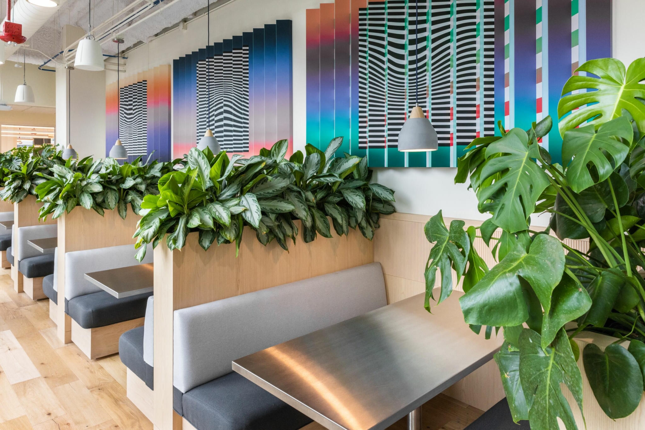Common space with lush plants.