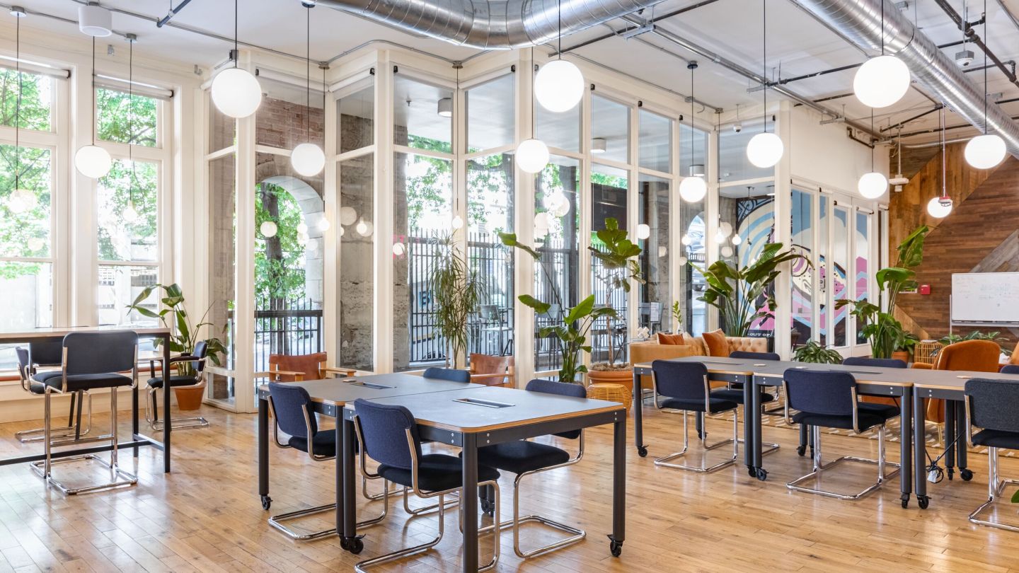 shared WeWork workspace with natural and overhead lights plus plants