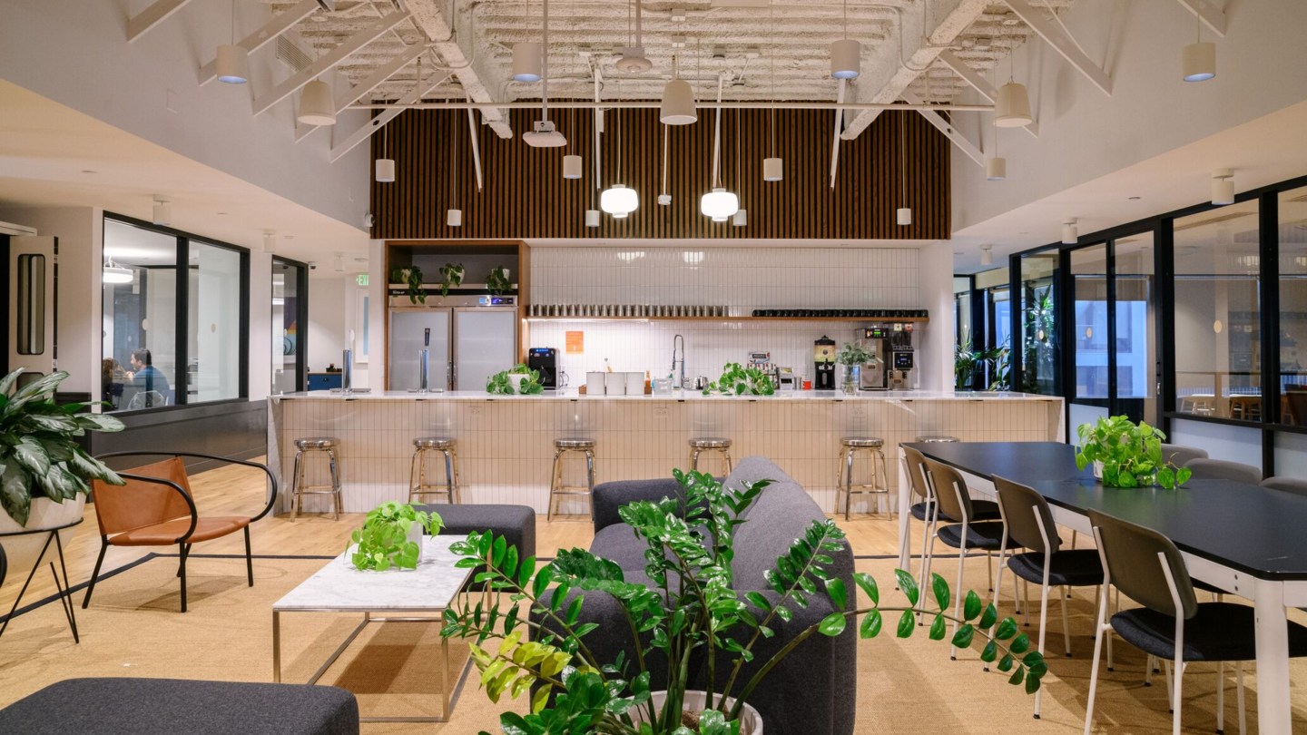 kitchen with seating, bar, and plants at a WeWork location