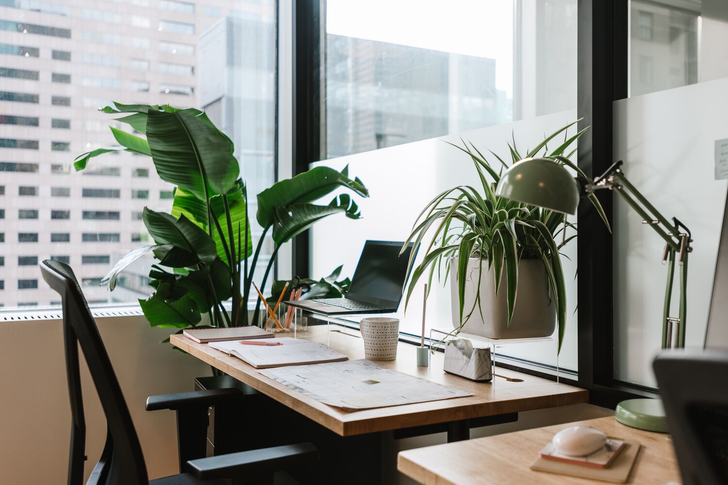 A workstation made of a desk and chair with plants and plenty of natural light.