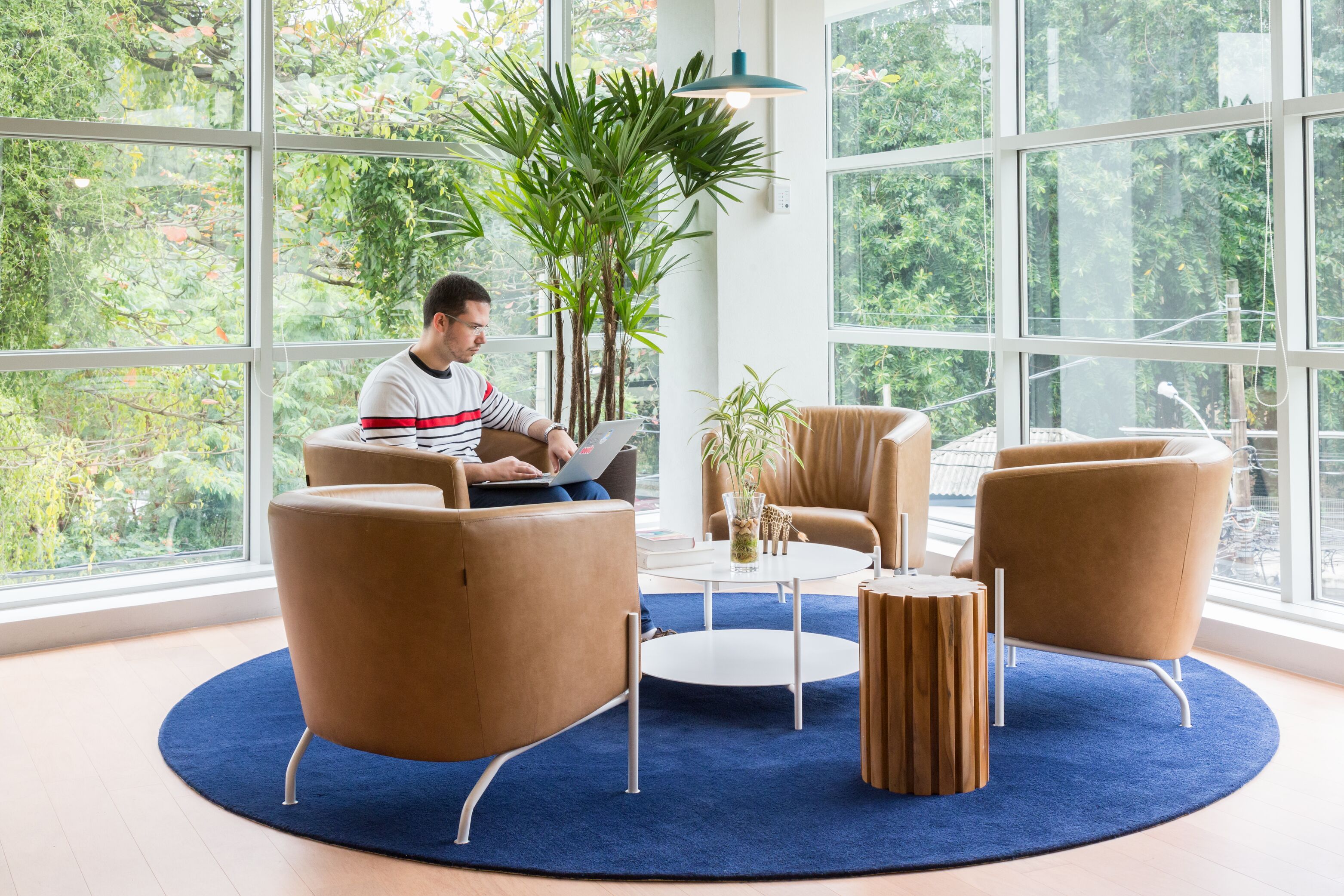 WeWork member working in a light-filled, green corner of the office